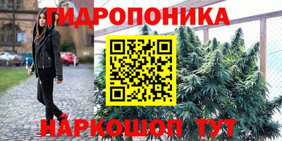 стаф Владивосток