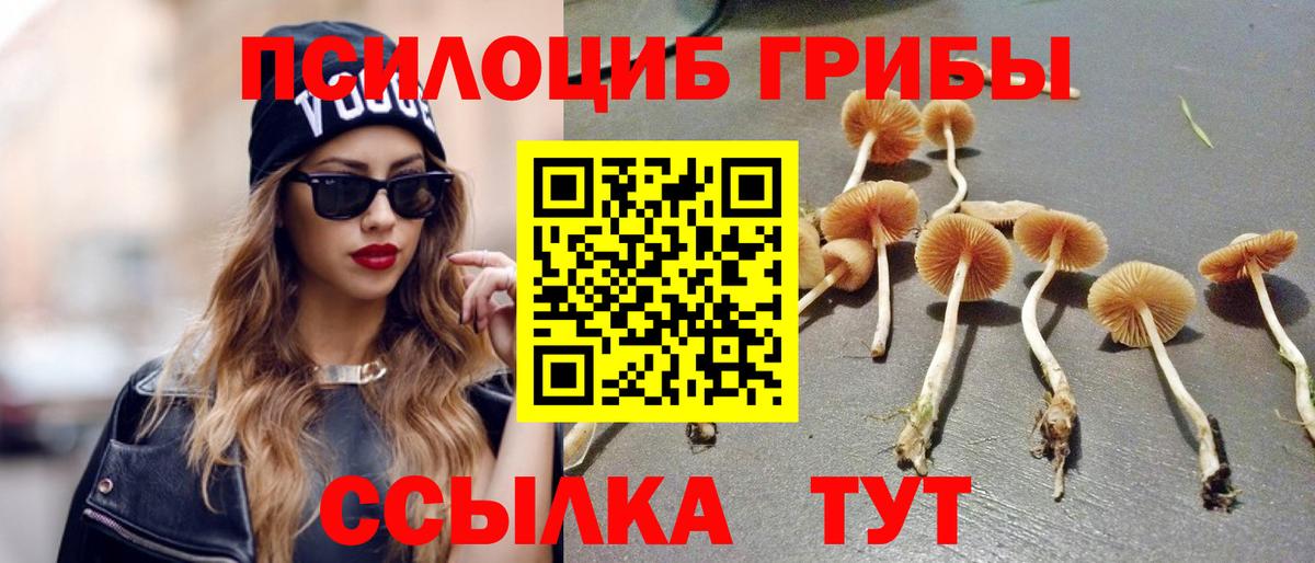 Галлюциногенные грибы ЛСД  Вход с VPN  Кимовск 