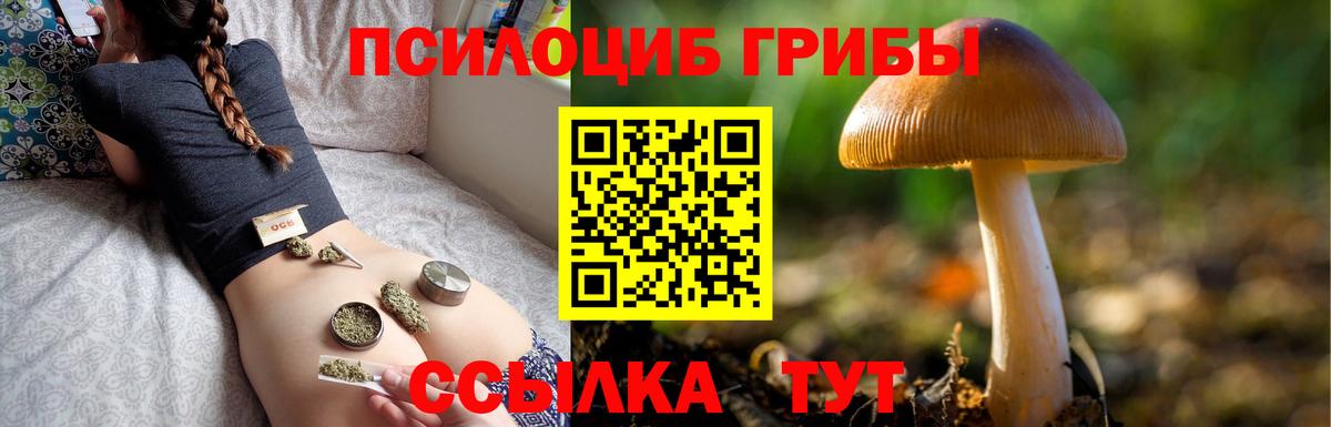 Галлюциногенные грибы мицелий Кимовск