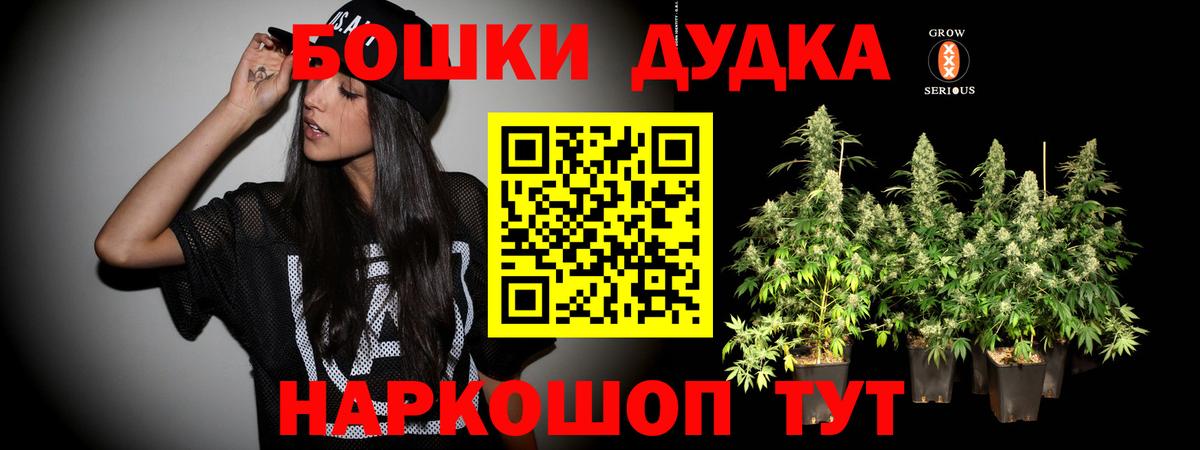 Шишки марихуана сатива  Шишки марихуана планчик  Вход с VPN  Канабис Amnesia  Кимовск 